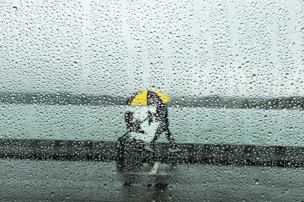 Rainy Auckland Day