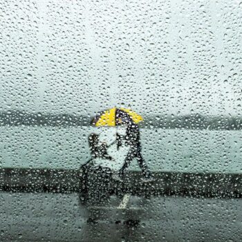 Rainy Auckland Day
