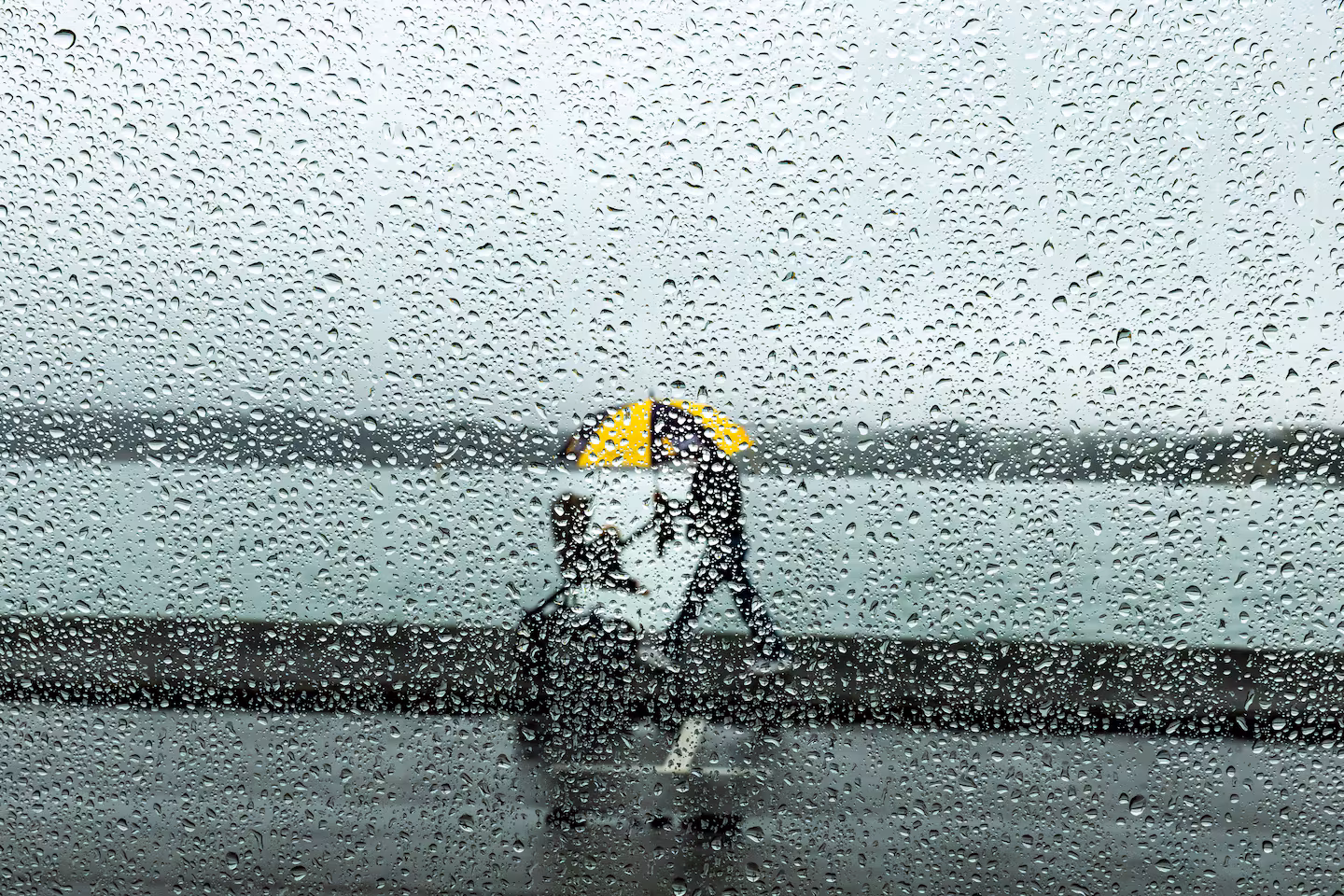 Rainy Auckland Day